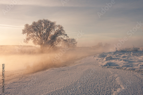 Foggy winter sunrise