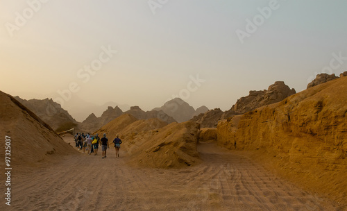 group of people on the road branching