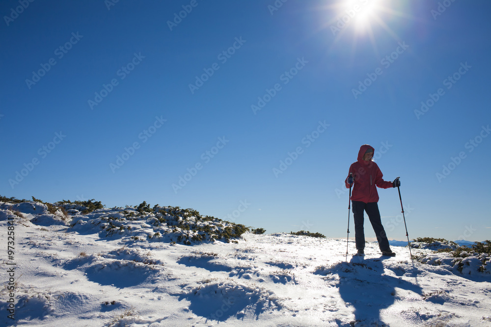 Young and beautiful girl walking in the snow. Young and beautiful girl walking in the snow.