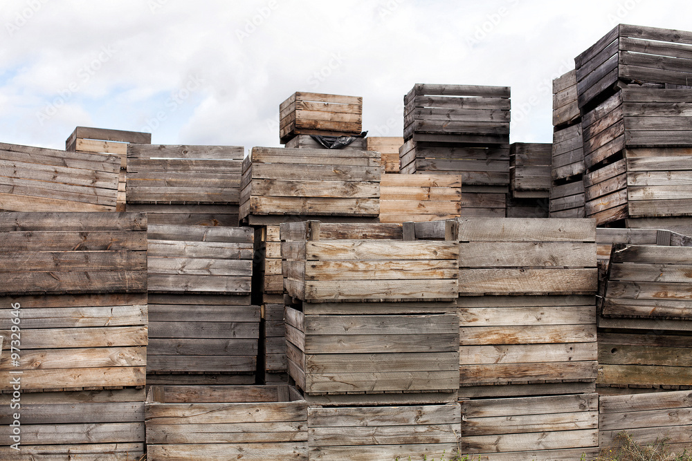 Apple harvesting crates Apple harvesting crates