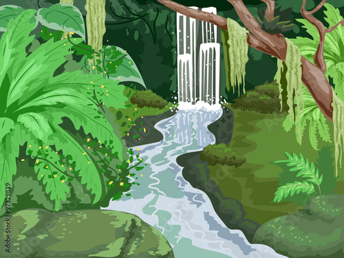 Tropical Forest