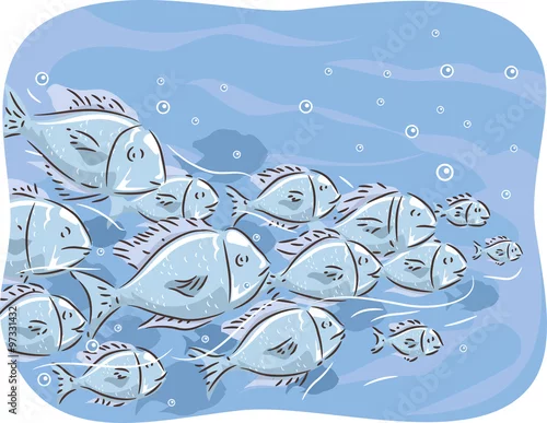 Fototapeta School Fish