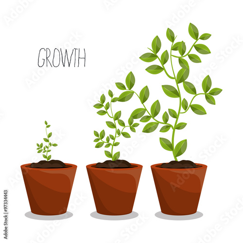 Nature plants growth 