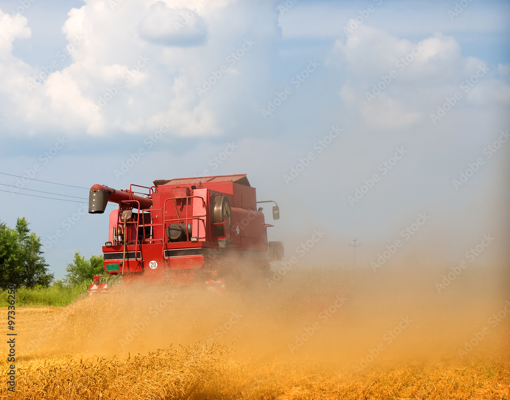 Obraz premium Combine harvesting wheat
