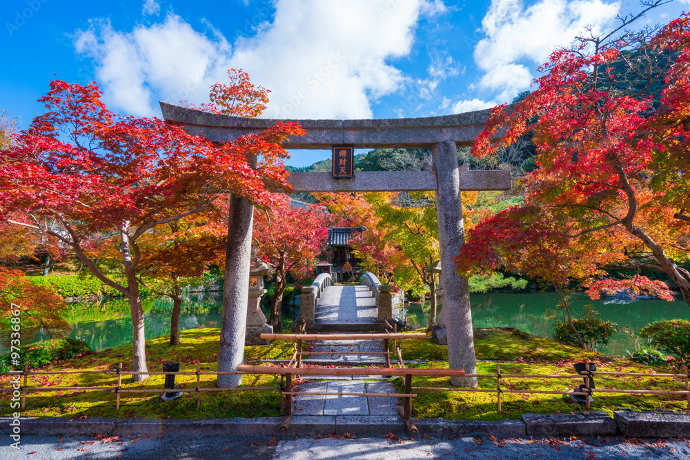 Fototapeta premium Jesienne liście w Eikando w Kioto