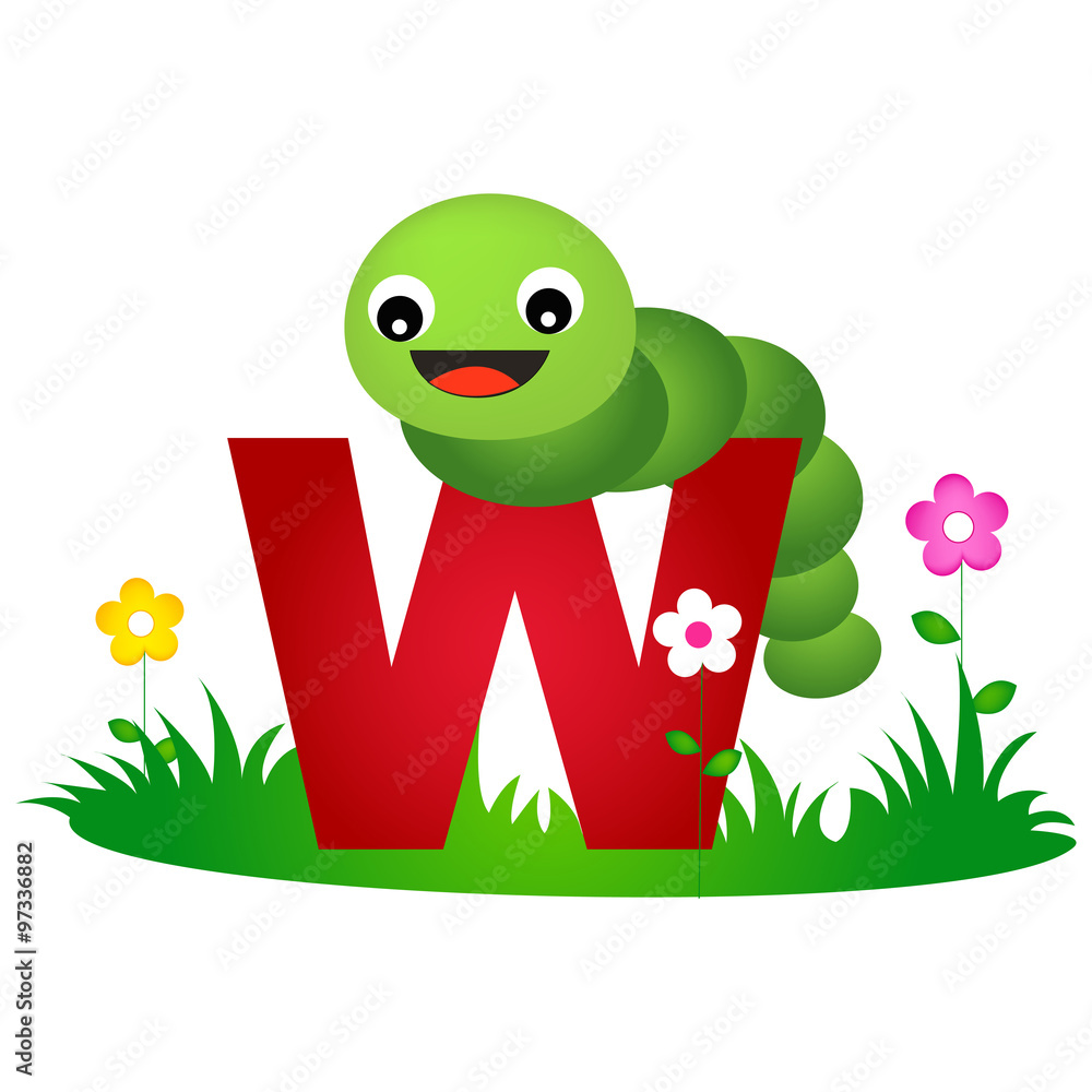 Animal alphabet letter W Stock Vector | Adobe Stock
