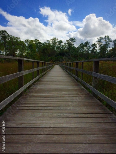 Corkscrew Swamp Sanctuary © Jan Ebling