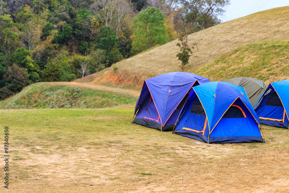 Dome tent on green grass on mountain