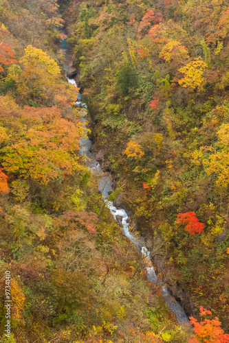 colorful leaves valley at Noboribetsu, Hokkaido