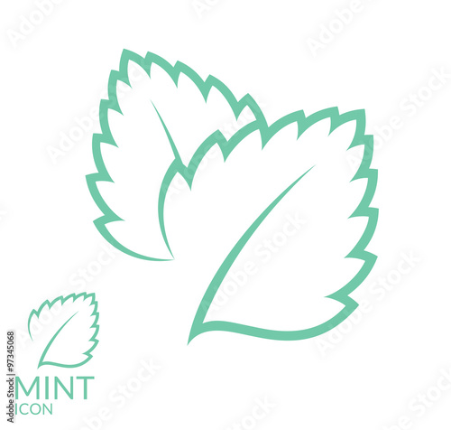 Mint. Icon set. Isolated leaves on white background