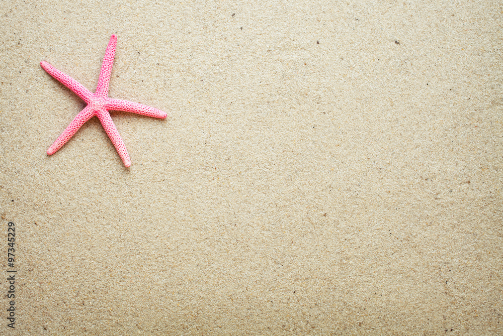 Sea shells on sand.red Starfish Sea shells on sand.red Starfish