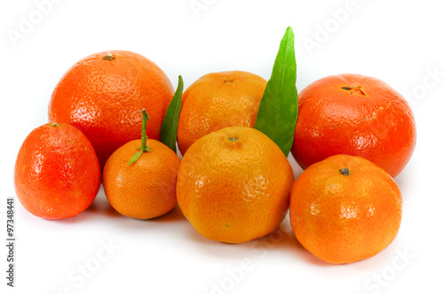 Different varieties of clementines isolated on white