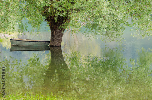 Alberi nel lago e riflessi photo