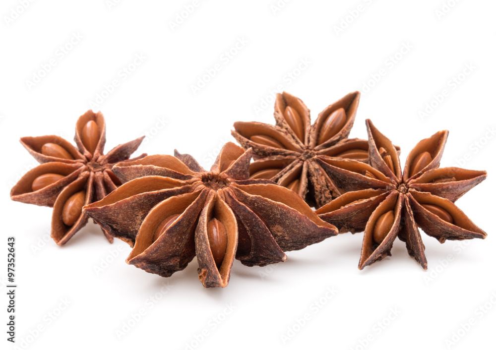 Star anise spice fruits and seeds isolated on white background c Star anise spice fruits and seeds isolated on white background c