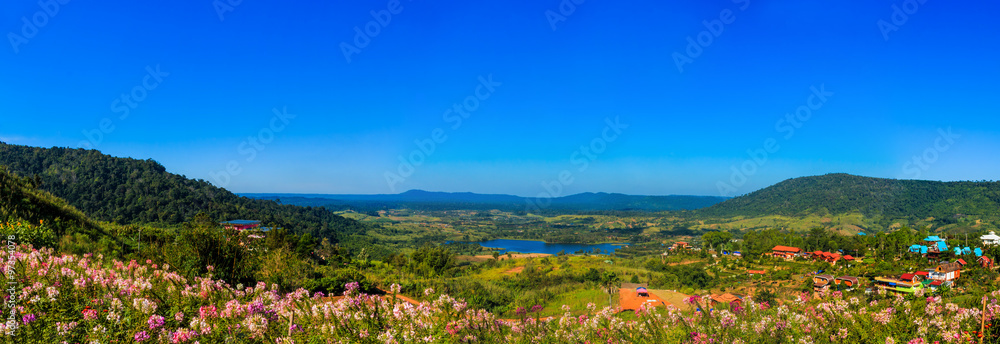 panorama with flower on mountain and sky