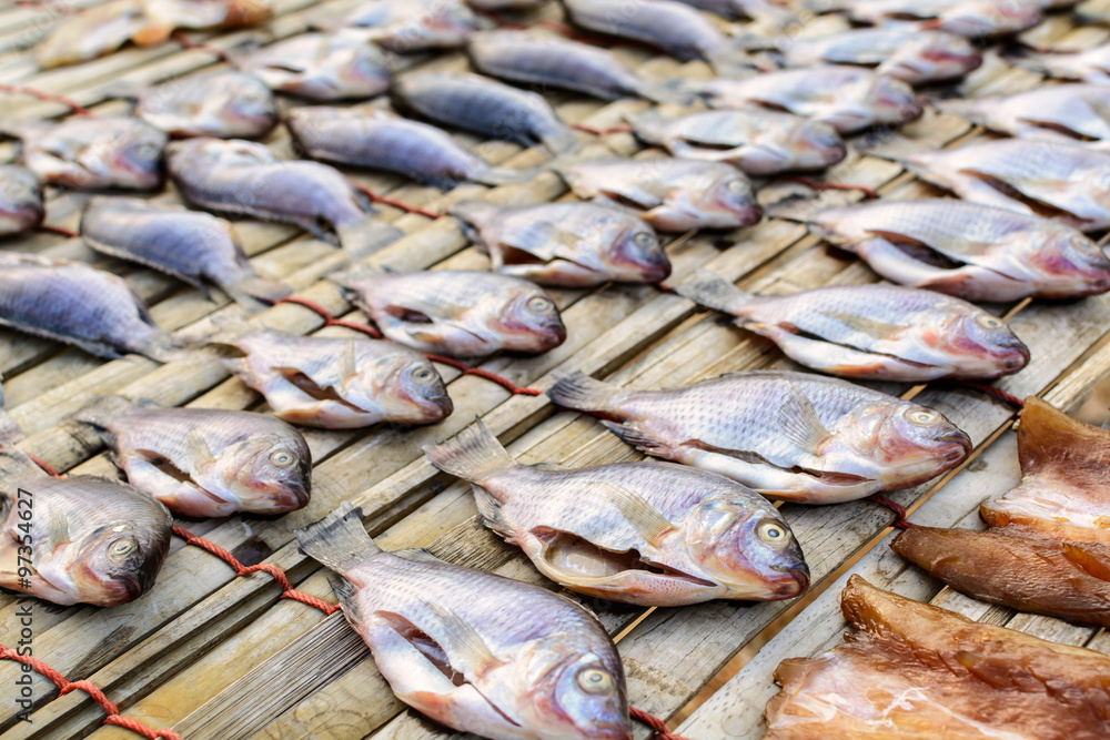 drying stock fish in Thailand, Dried fish drying stock fish in Thailand, Dried fish