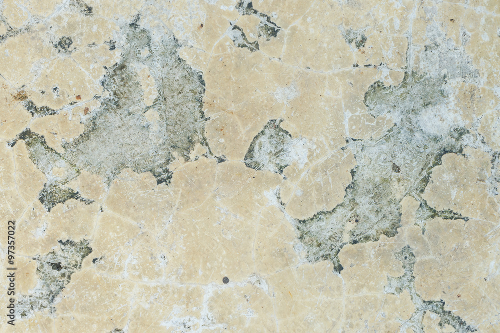 old and grunge cement texture for background