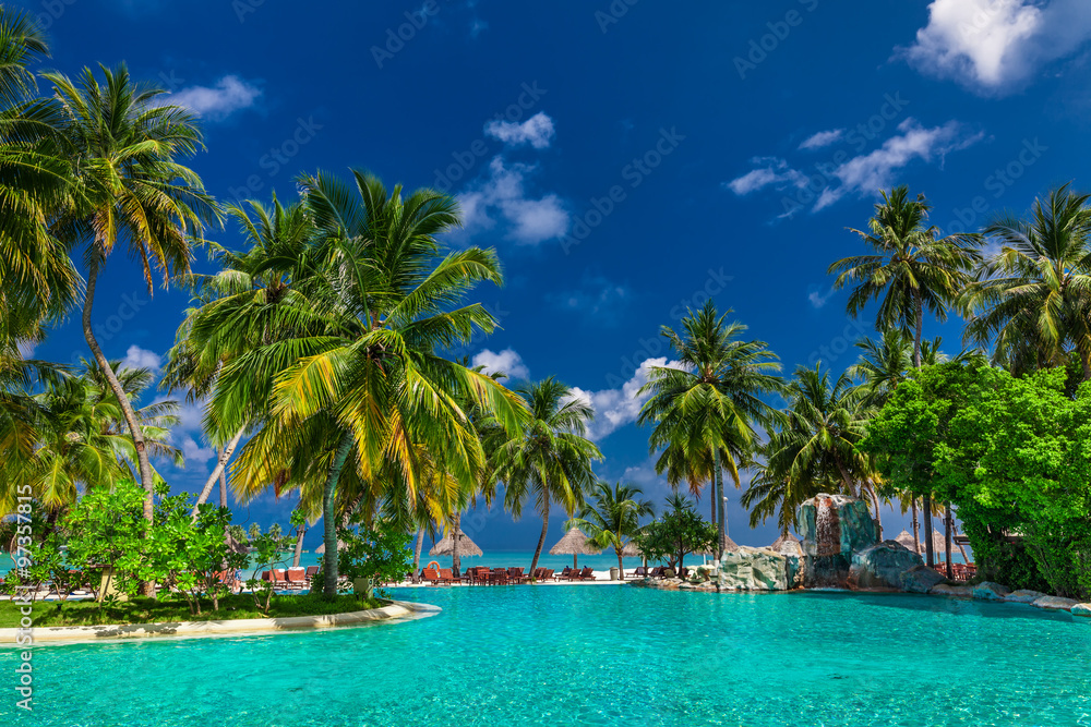 Large infinity swimming pool on the beach with palm trees and um