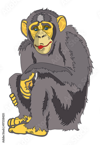 Vector monkey