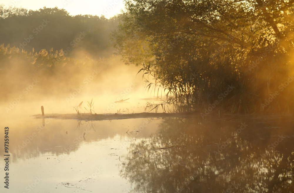 Morning landscape with fog on the river