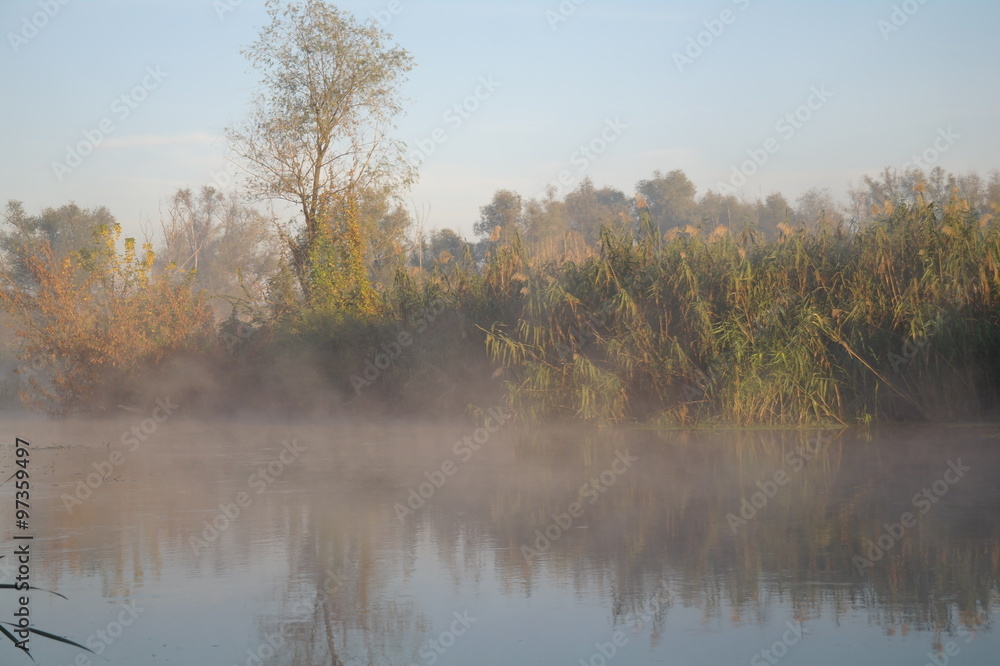 Morning landscape with fog on the river Morning landscape with fog on the river