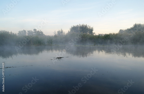 Morning landscape with fog on the river