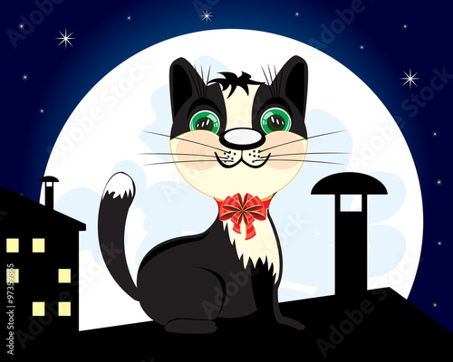 Cat on roof in the night