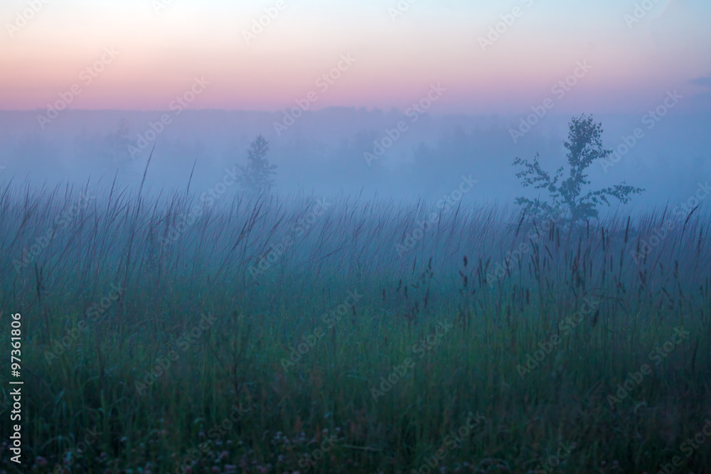 Misty Beautiful Nature Background