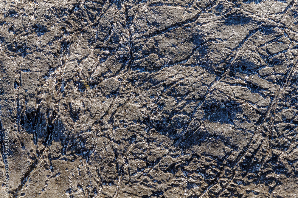 Naklejka premium Texture of sea stone texture