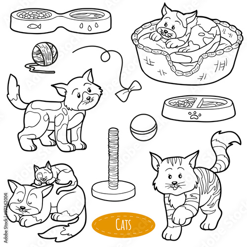 Colorless set of cute domestic animals and objects, vector family of cats