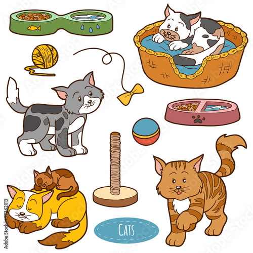 Color set of cute domestic animals and objects, vector family ca