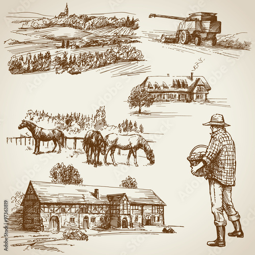 Farmland, harvest on the farm