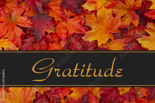 Gratitude Message