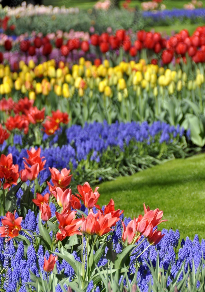 Springtime in the flower park Springtime in the flower park