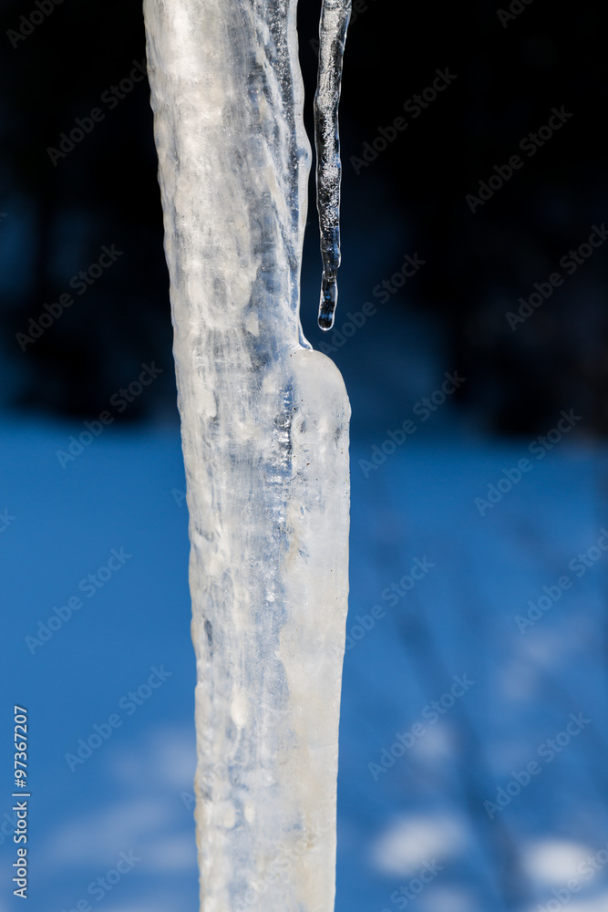 Long icicle melting in the sun