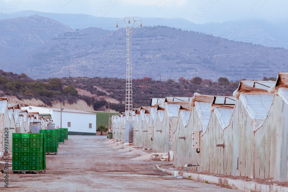 Industrial veggie growing greenhouses in Spain Industrial veggie growing greenhouses in Spain