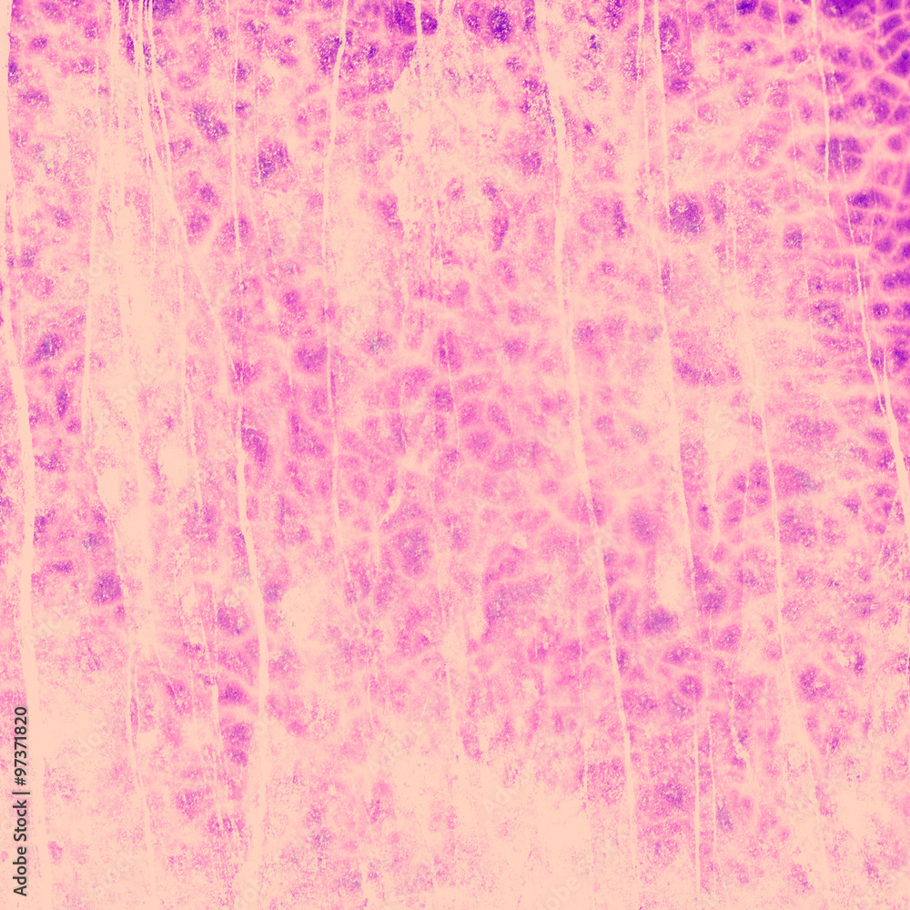 Obraz premium Abstract background