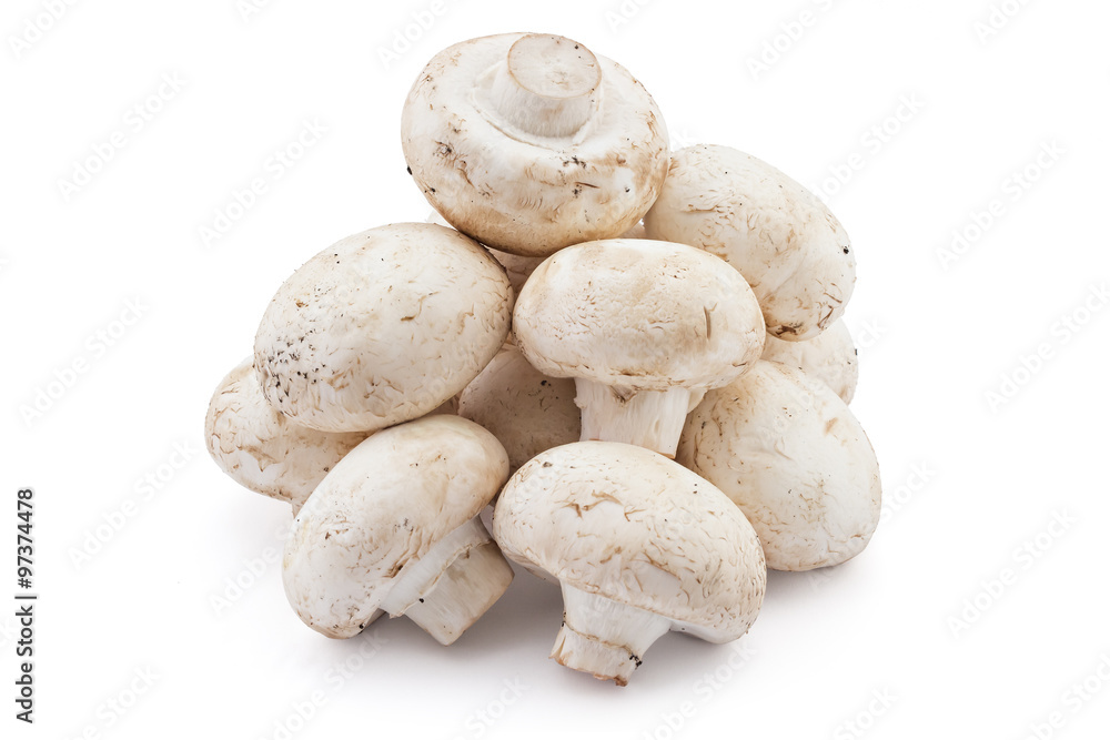 Pile of fresh raw champignons portobello mushrooms on a white background Pile of fresh raw champignons portobello mushrooms on a white background