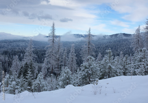 Winter View © sjessup