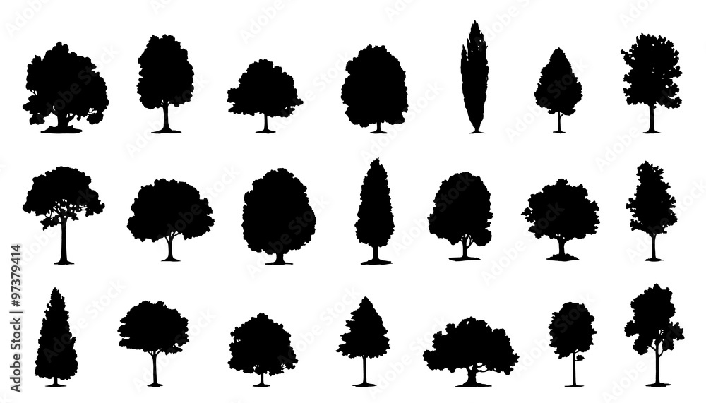 Obraz premium sylwetki drzew