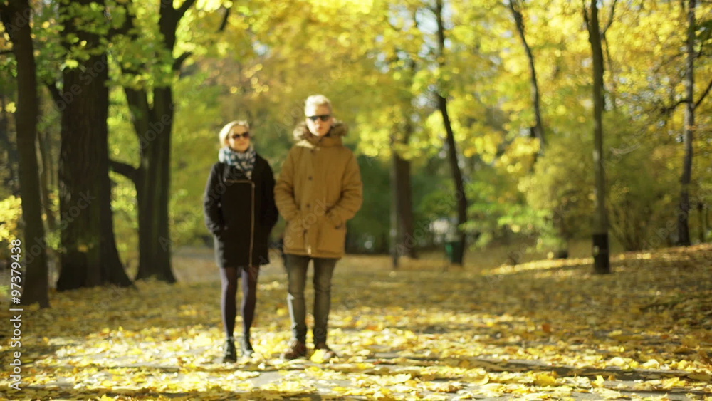 Couple walking on the pathway in the autumnal park and chatting
Couple walking on the pathway in the autumnal park and chatting