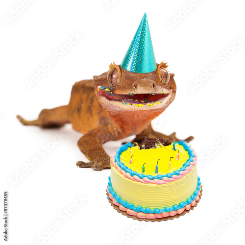 Funny Gecko Lizard Eating Birthday Cake
