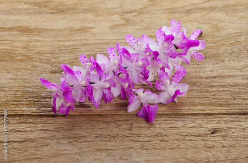 beautiful orchid on wooden background.