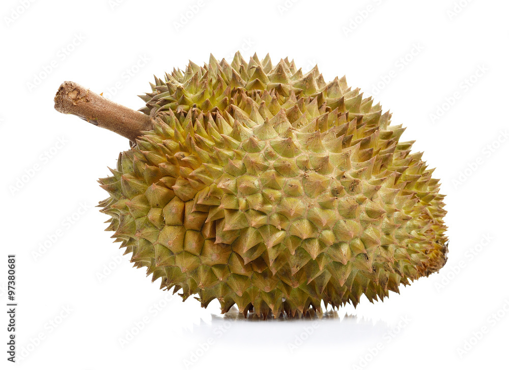 Durian isolated on white background. Durian isolated on white background.