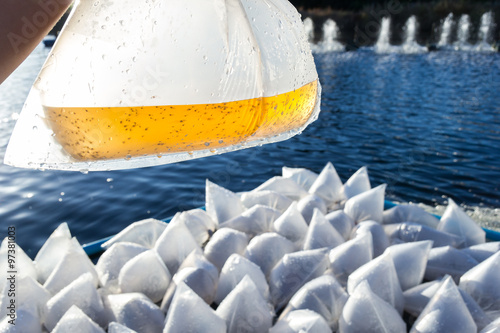 Hand holding the Larval shrimp in a plastic bag. floating in a S