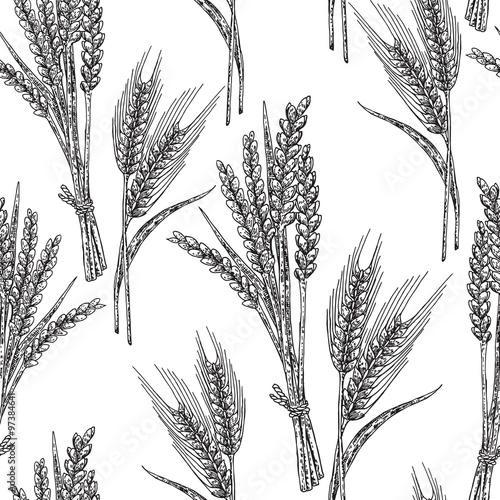 Wheat seamless pattern. Vector illustration in sketch style. 