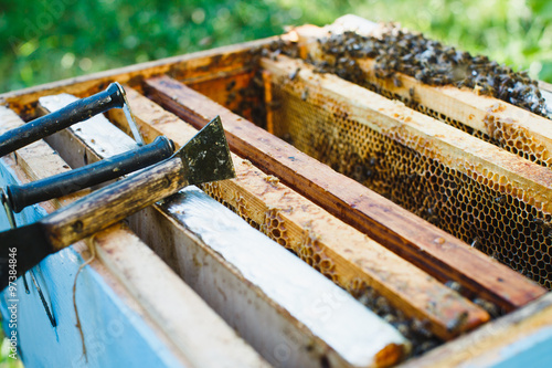 Wooden beehive with wooden frames of honeycomb and bees inside