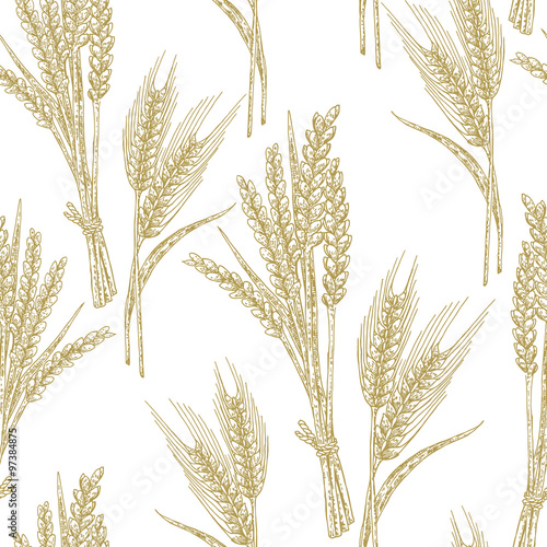 Wheat seamless pattern. Vector illustration in sketch style. 