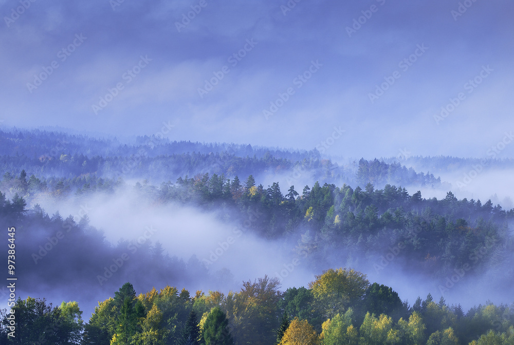 Foggy morning in the landscape Foggy morning in the landscape