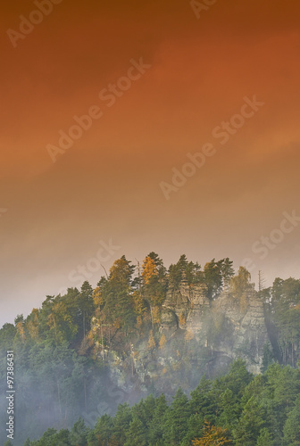 Foggy morning in the landscape